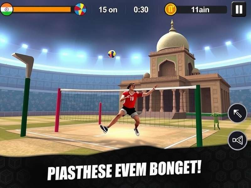 Volley Heroes India Edition Game Screenshot
